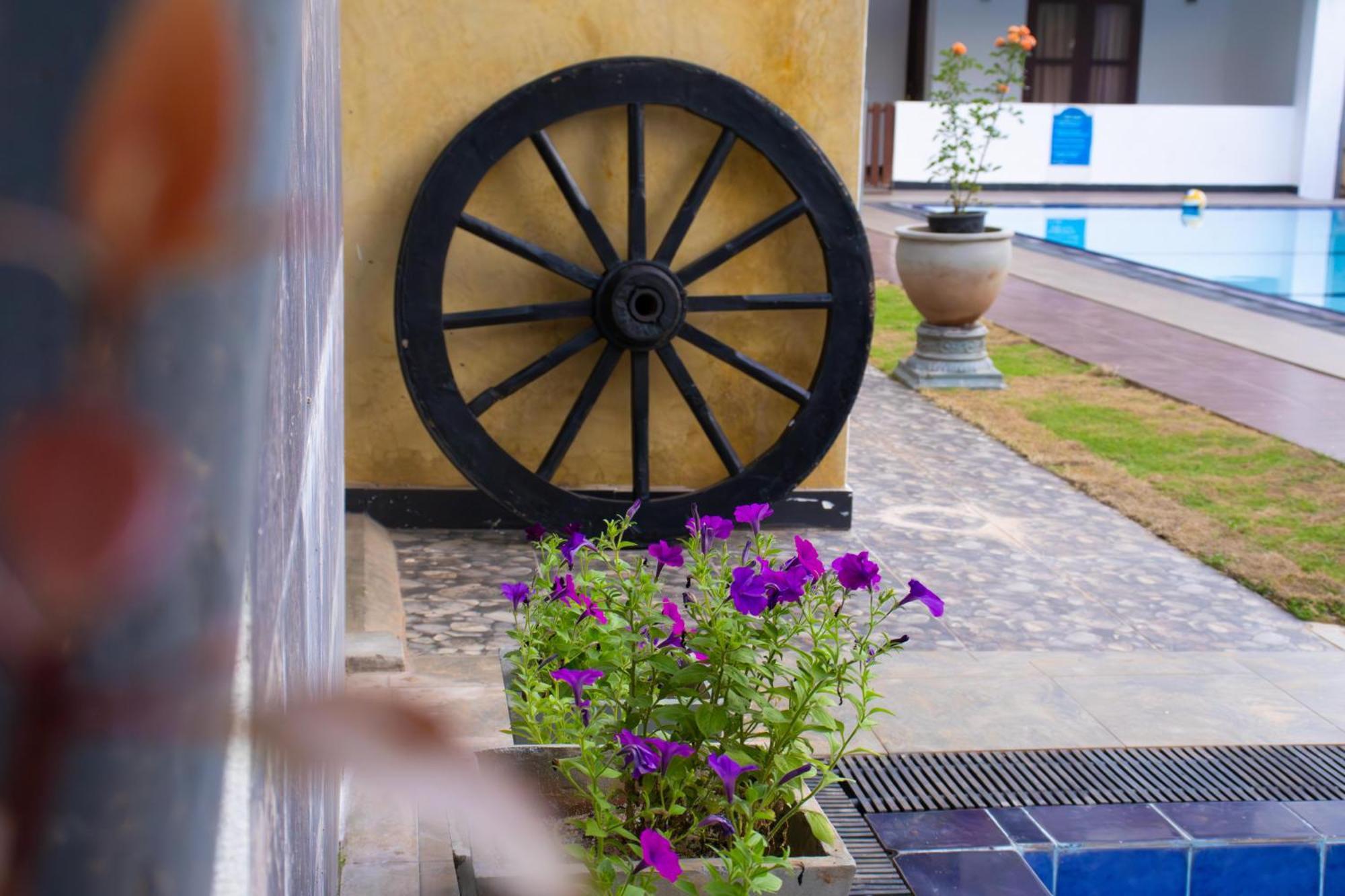 Woodnest Windmill Beach Hotel Negombo Exterior photo